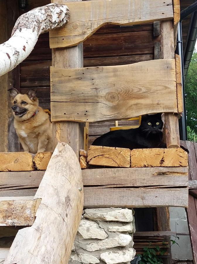 Agroturystyka Lipowewzgorze Domek Antek Tereszpol Buitenkant foto